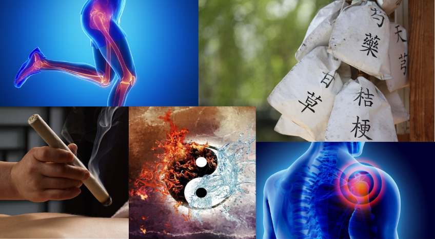 Shiatsu, master online per l'aggiornamento e la crescita degli operatori