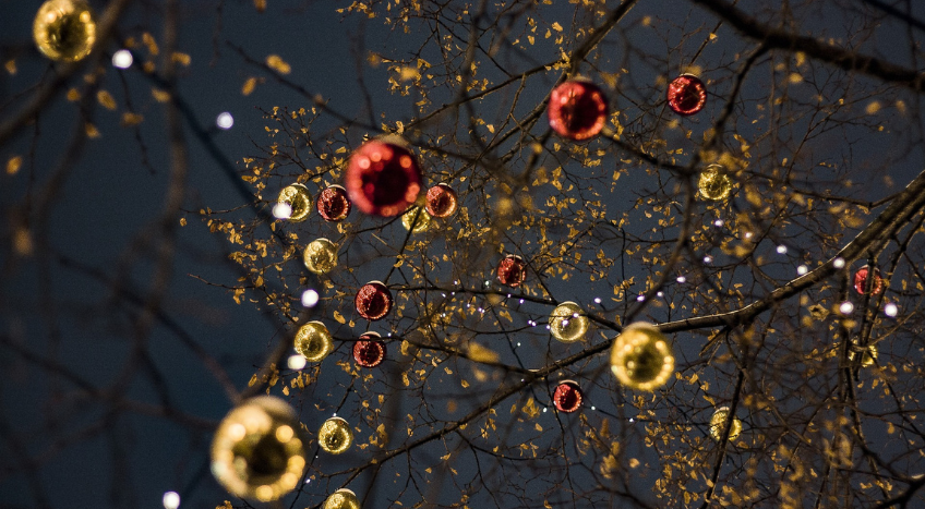 Anno nuovo: il tuo corso olistico per partire con il piede giusto