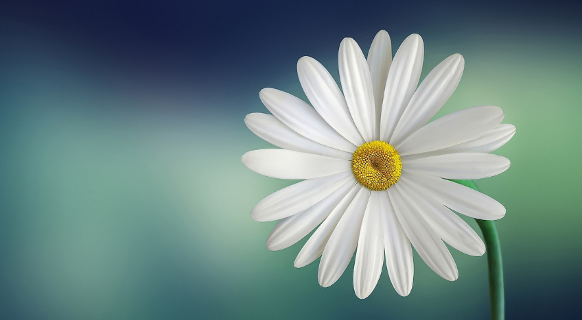 Equinozio di Primavera, pratica energetica per la nuova stagione