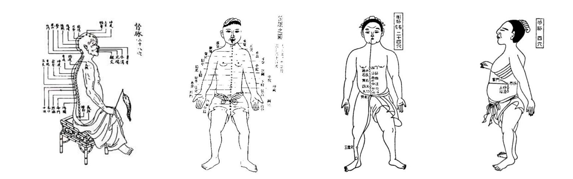 Master, serate di pratica e laboratori: un pieno di appuntamenti per gli operatori Shiatsu
