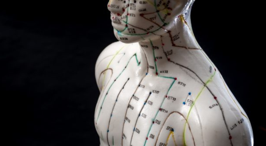 Shiatsu e Medicina cinese, è l'anno dei Meridiani