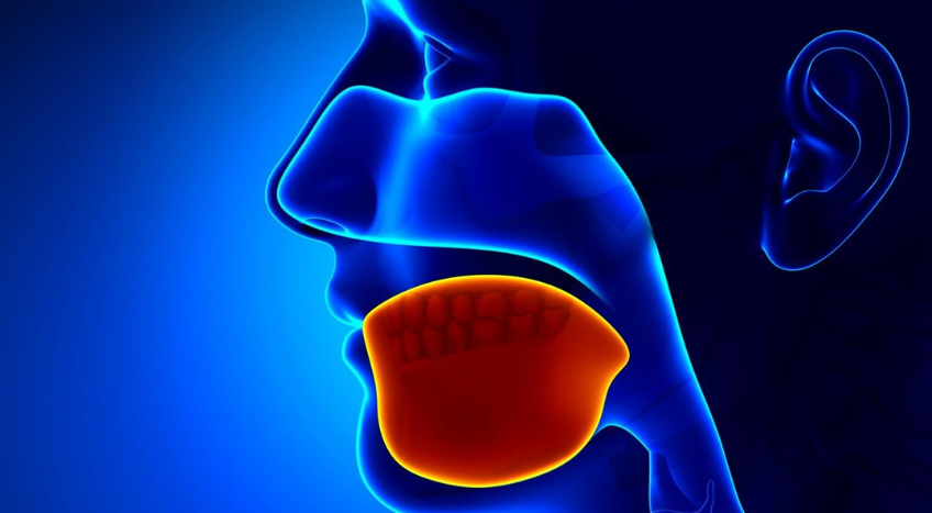 Craniosacrale, torna il master sul cavo orale 