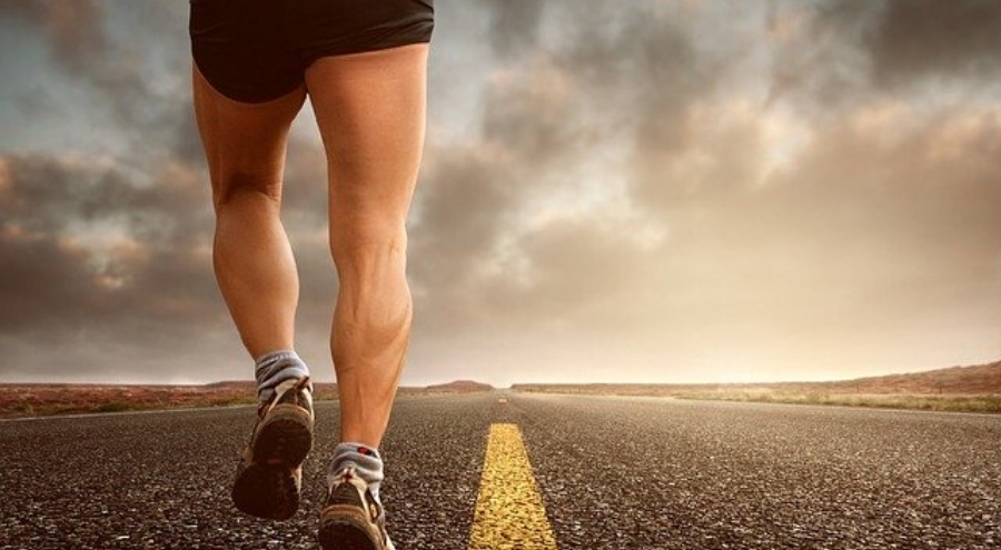 Fitoterapia e depurazione, domenica 26 gennaio impariamo come si fa