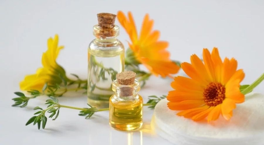 Muscoli, il corso di massaggio che insegna a trattarli